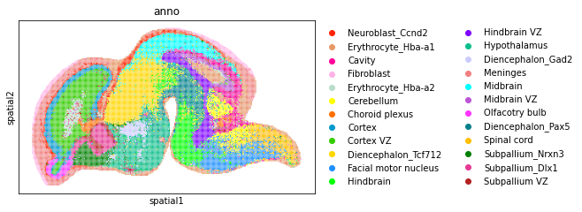 _images/mouse_embyro_20_0.png